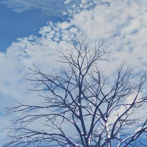 3x27CC是免费打开
