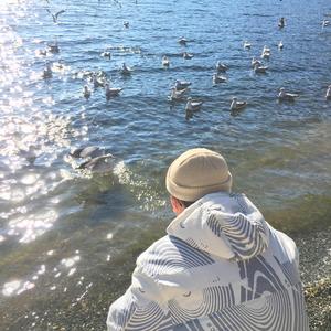 3x27CC是免费打开
