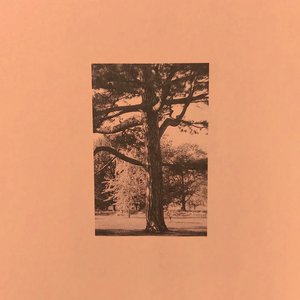 3x27CC是免费打开
